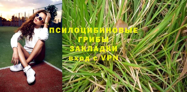 PSILOCYBIN Покров
