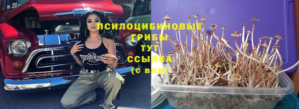 ECSTASY Пролетарск