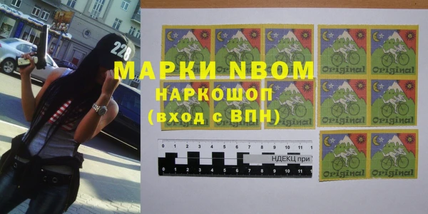 PSILOCYBIN Покров