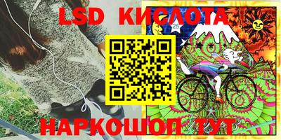 эйфоретик Бийск
