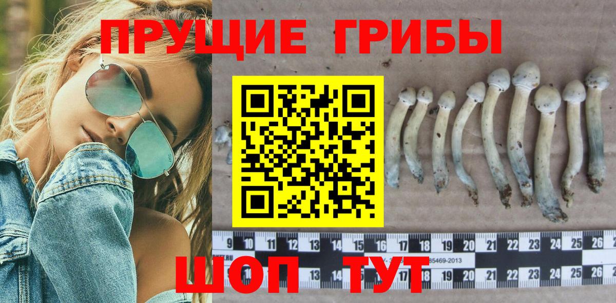Псилоцибиновые грибы мицелий  Вход с VPN  Вольск 