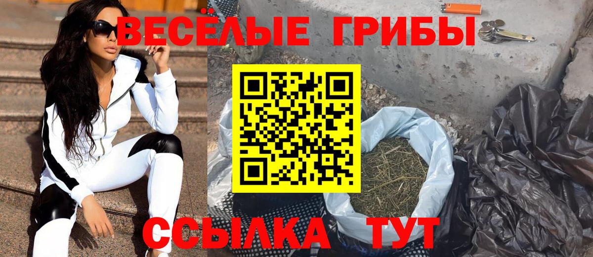 Галлюциногенные грибы Psilocybe Вольск